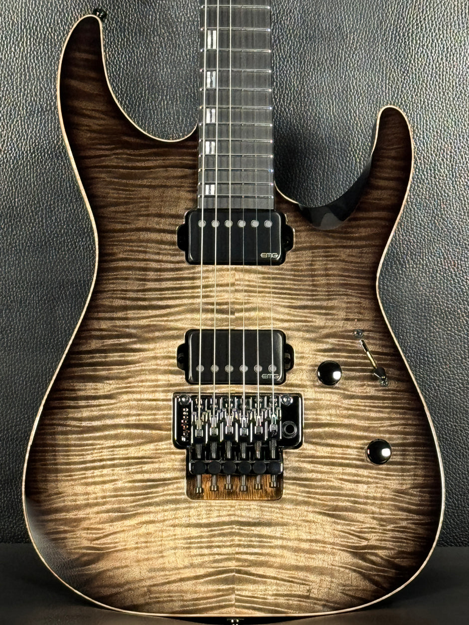 ESP Guitars – Guitar HAUS