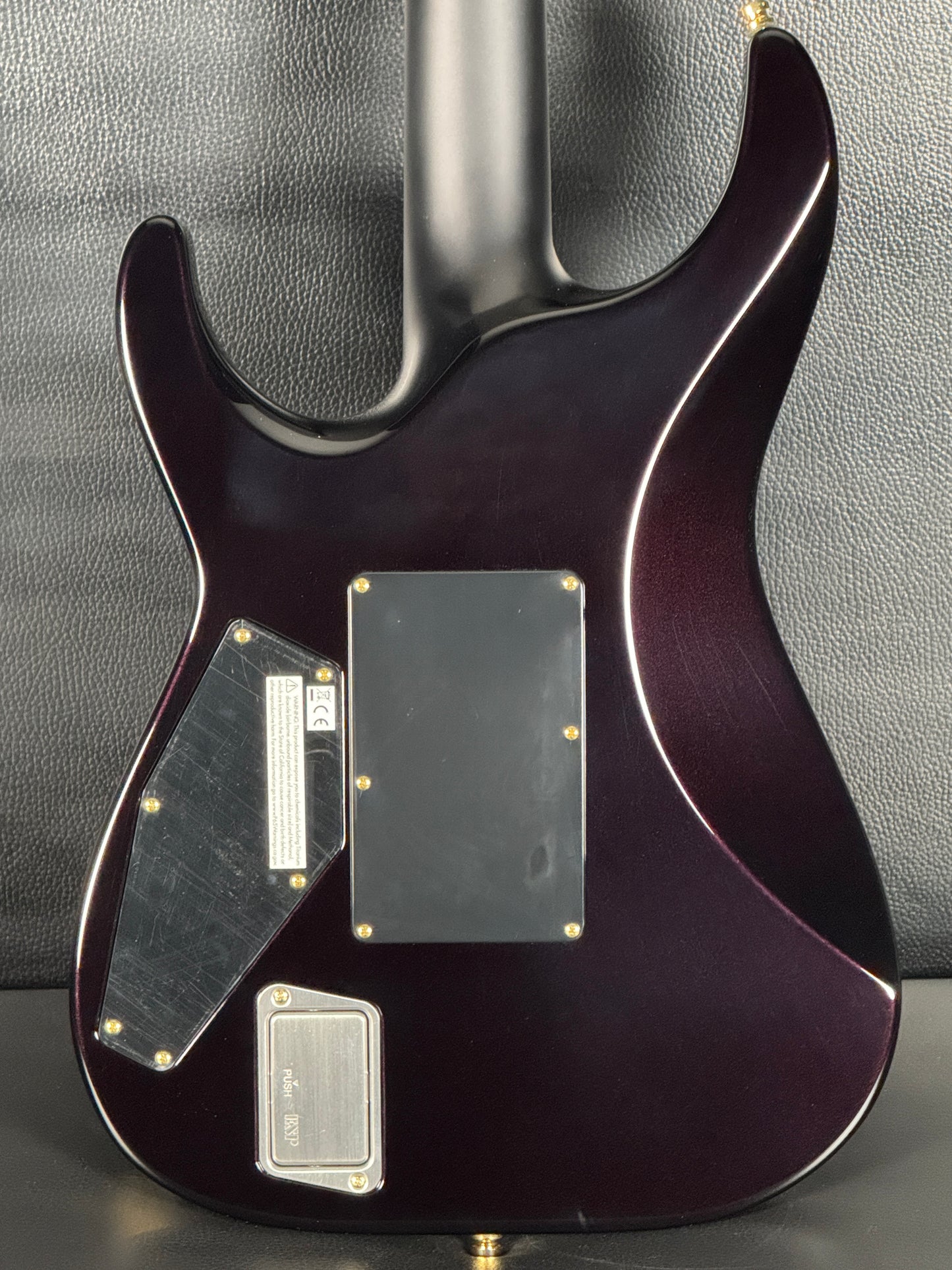 ESP M-II CTM FM FR Purple Gradation Japan