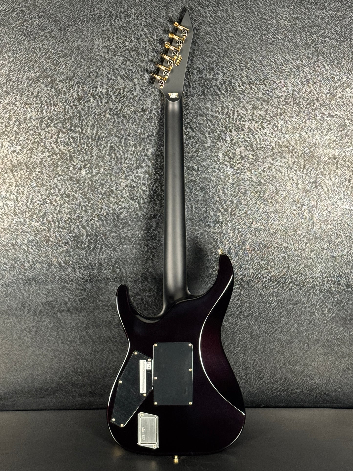 ESP M-II CTM FM FR Purple Gradation Japan