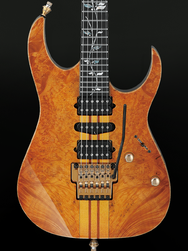 Ibanez VISIONS IV1RG Custom Shop