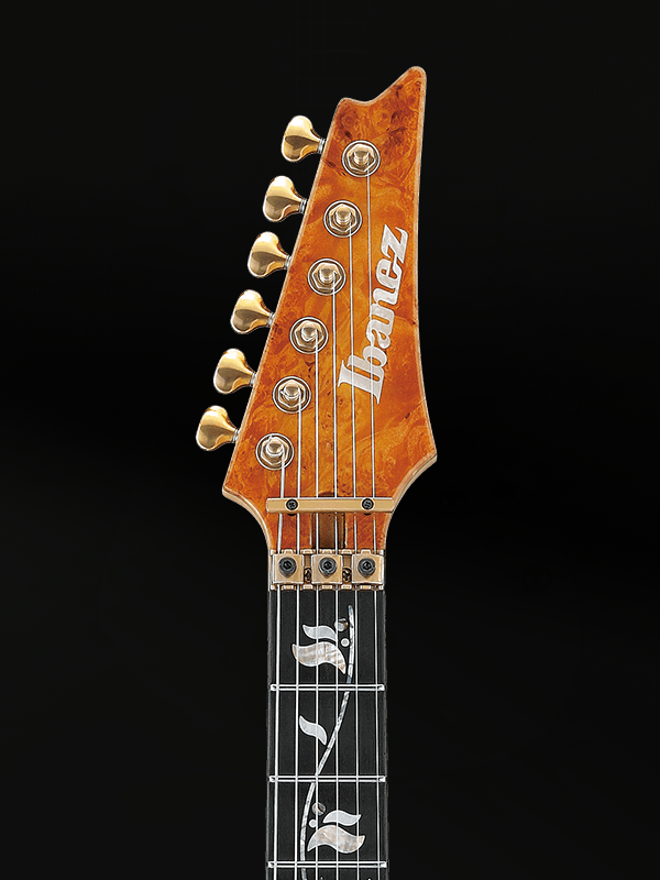 Ibanez VISIONS IV1RG Custom Shop