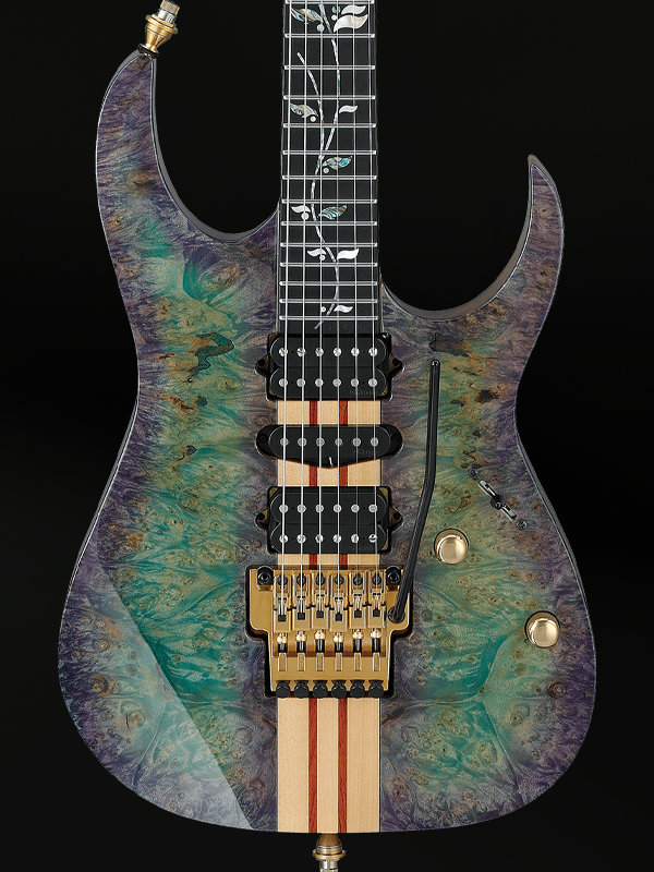 Ibanez VISIONS IV2RG Custom Shop