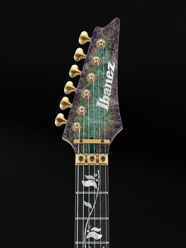 Ibanez VISIONS IV2RG Custom Shop
