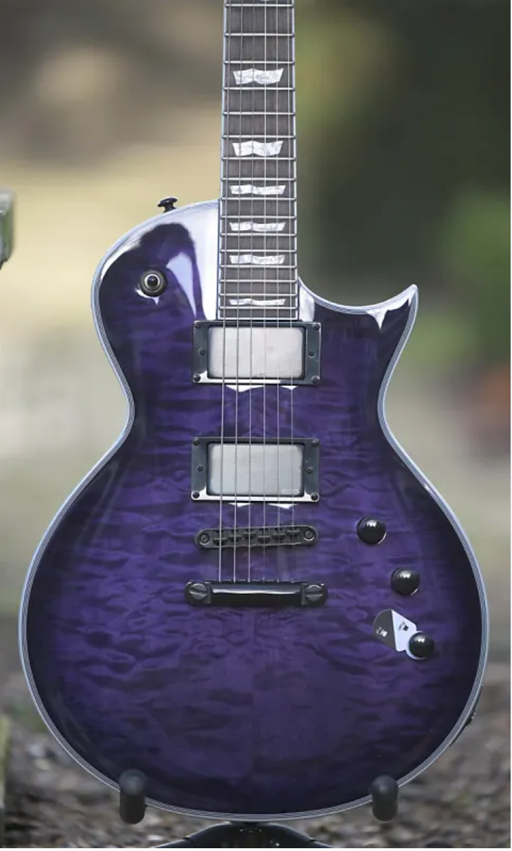 ESP LTD EC-1000 - See Thru Purple Sunburst ( ON HOLD FOR NISHAAN)