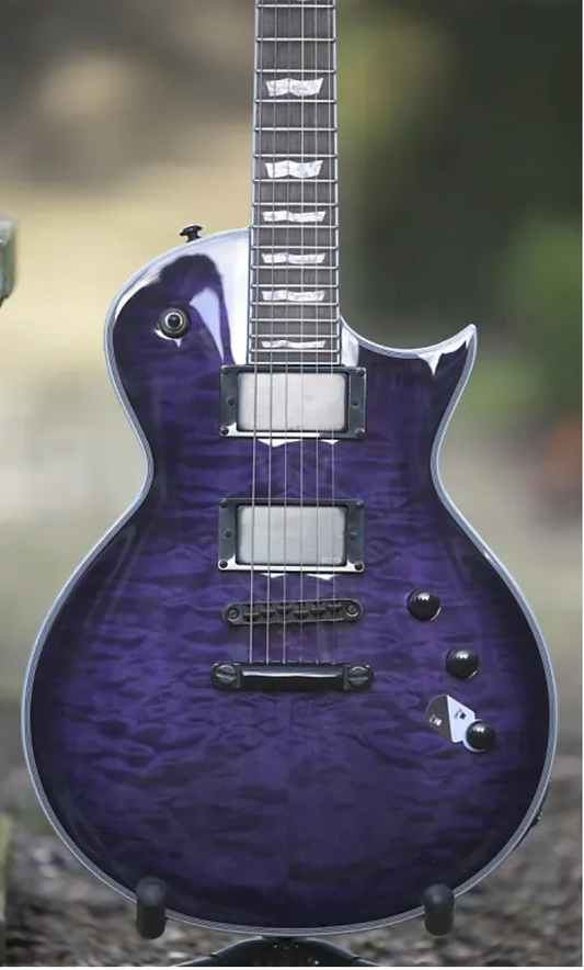 ESP LTD EC-1000 - See Thru Purple Sunburst ( ON HOLD FOR NISHAAN)