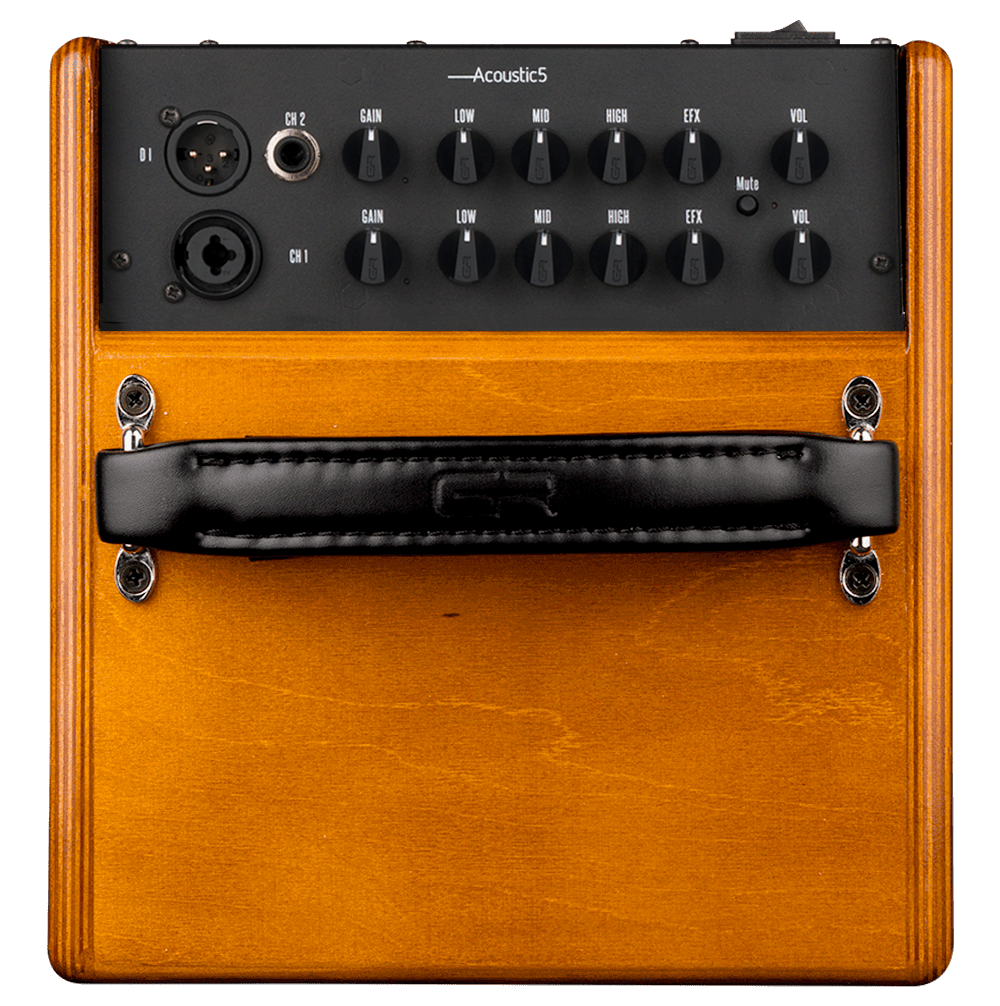 GR Guitar WD Acoustic 5
