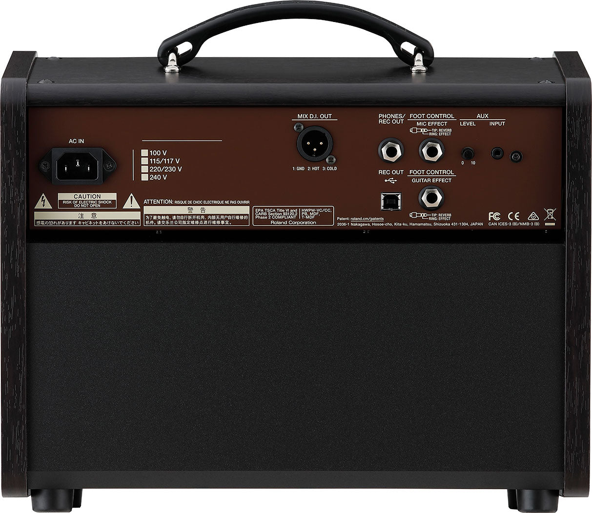 BOSS Acoustic Singer Live LT Guitar Amp