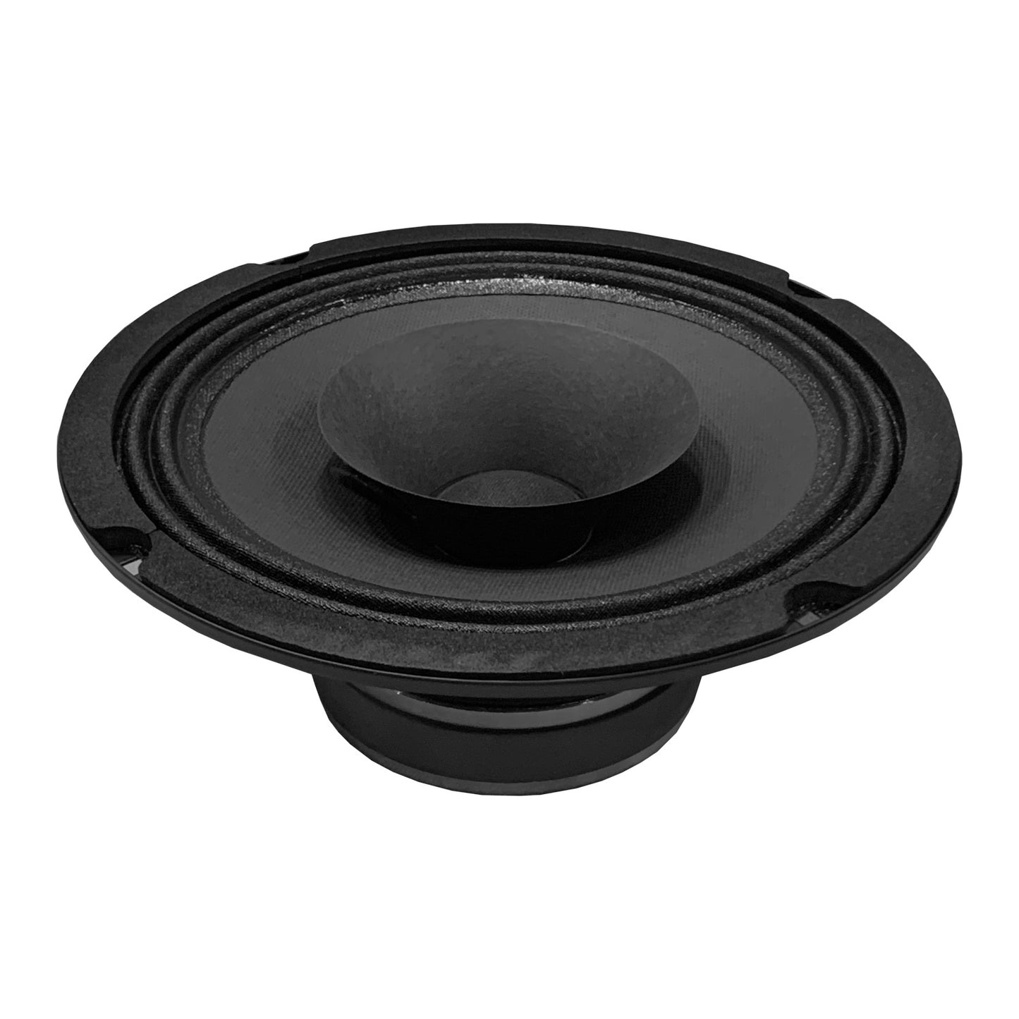 AER Loudspeaker 8"